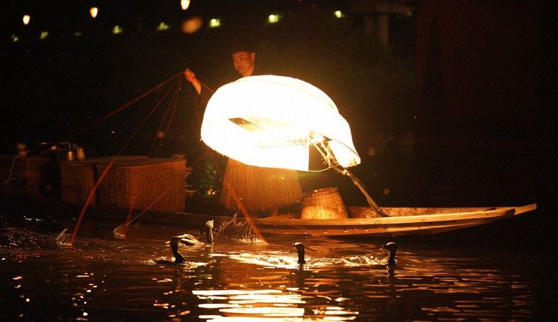 đánh bắt cá bằng chim cốc ở miyoshi 2